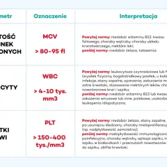 Tabela interpretuje wyniki badań krwi. W sekcji "LEUKOCYTY" wskazano, że leukocyty poniżej normy mogą oznaczać niedobór witaminy B12 lub kwasu foliowego.